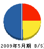 松山電工 貸借対照表 2009年5月期