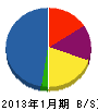 データネットジャパン 貸借対照表 2013年1月期