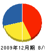 野田緑地 貸借対照表 2009年12月期