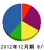 辻電気 貸借対照表 2012年12月期