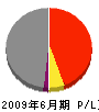 昭和電気 損益計算書 2009年6月期