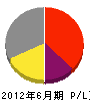 平井組 損益計算書 2012年6月期