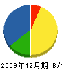岩沢設備商会 貸借対照表 2009年12月期