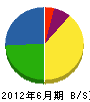 ナカシマ 貸借対照表 2012年6月期