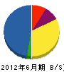 青竜社塗装店 貸借対照表 2012年6月期