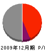 島崎組 損益計算書 2009年12月期