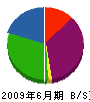 谷井工業 貸借対照表 2009年6月期