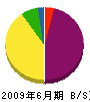 大塚工務店 貸借対照表 2009年6月期