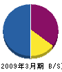 渡辺工業 貸借対照表 2009年3月期