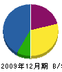 北沢塗装店 貸借対照表 2009年12月期