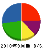 日本パスコム 貸借対照表 2010年9月期