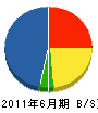 斎藤工業 貸借対照表 2011年6月期