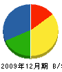 川崎工務店 貸借対照表 2009年12月期