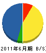 札幌テーケーシー 貸借対照表 2011年6月期