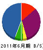 山崎企業 貸借対照表 2011年6月期