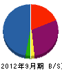 辻設備 貸借対照表 2012年9月期