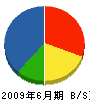 渡辺電業舎 貸借対照表 2009年6月期