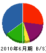 琉昇土建 貸借対照表 2010年6月期