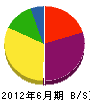 横山電気商会 貸借対照表 2012年6月期