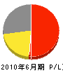 上田電工 損益計算書 2010年6月期