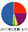 赤塚電機 貸借対照表 2011年6月期
