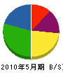 ティー・シージャパン 貸借対照表 2010年5月期