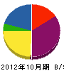 九州レジン工業 貸借対照表 2012年10月期