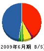 上野塗装 貸借対照表 2009年6月期