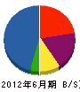 古川電子サービス 貸借対照表 2012年6月期