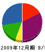 上野産業 貸借対照表 2009年12月期