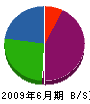 Ｙ・小泉総合設備 貸借対照表 2009年6月期