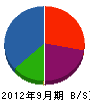 九州テクニカルサービス 貸借対照表 2012年9月期