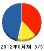 小島電気工事 貸借対照表 2012年6月期