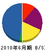 天誠興業 貸借対照表 2010年6月期