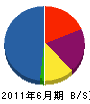 誠和光建 貸借対照表 2011年6月期