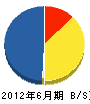 丸浜興産 貸借対照表 2012年6月期