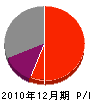石川電工 損益計算書 2010年12月期