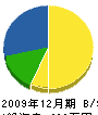 井戸川工務店 貸借対照表 2009年12月期