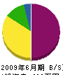 長井工務店 貸借対照表 2009年6月期