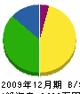 飯田電気商会 貸借対照表 2009年12月期