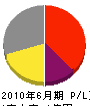 廣瀬電気 損益計算書 2010年6月期
