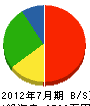 滋賀ジスロン 貸借対照表 2012年7月期