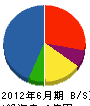 東亜環境サービス 貸借対照表 2012年6月期