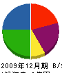 サンノーベル 貸借対照表 2009年12月期