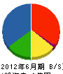 雲井工務店 貸借対照表 2012年6月期