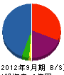 杉江電設 貸借対照表 2012年9月期