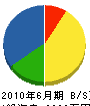 長崎林業 貸借対照表 2010年6月期