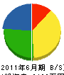山田電機商会 貸借対照表 2011年6月期
