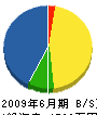 林田緑化 貸借対照表 2009年6月期