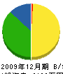 塚田工業 貸借対照表 2009年12月期
